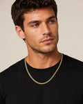 14K gold-plated Vicentina chain - front view